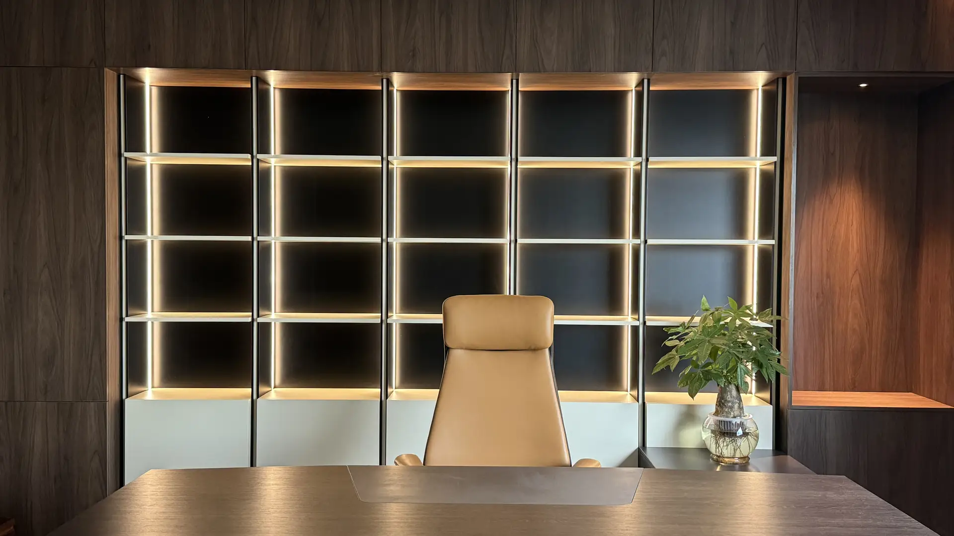 CADIVI CEO Office